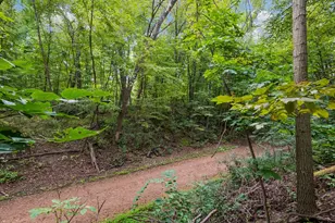 441 Pleasant Ln, Chaska, MN 55318 - Photo 37