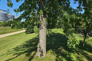 304 Paul Hanson Dr, Clarks Grove, MN 56016 - Photo 31
