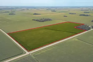 Tbd Mower/Freeborn Rd, Blooming Prairie, MN 55917 - Photo 1