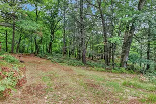 N8021 Allen Creek Rd, Black River Falls, WI 54615 - Photo 71