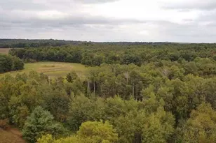 N8339 Champion Rd, Trego, WI 54888 - Photo 61
