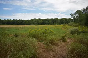 N8339 Champion Rd, Trego, WI 54888 - Photo 17