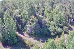 4704 Hwy 169, Ely, MN 55731 - Photo 57