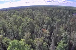 4704 Hwy 169, Ely, MN 55731 - Photo 45