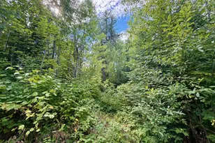 4704 Hwy 169, Ely, MN 55731 - Photo 41