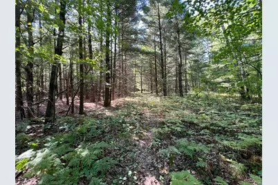 14670 Cross Lake Road, Pine City, MN 55063 - Photo 7