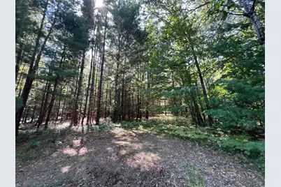 14670 Cross Lake Road, Pine City, MN 55063 - Photo 5