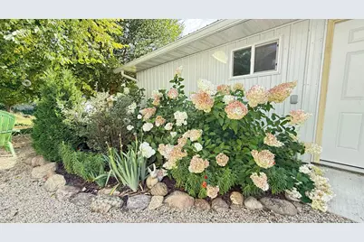 905 210th Avenue SW, Appleton, MN 56208 - Photo 5