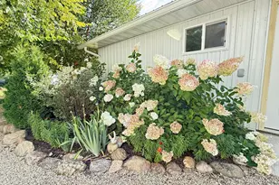 905 210th Ave SW, Appleton, MN 56208 - Photo 5
