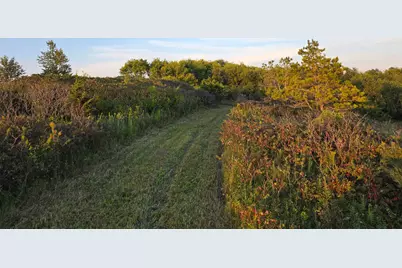 Tbd County Road 110 SE, Chatfield, MN 55923 - Photo 33