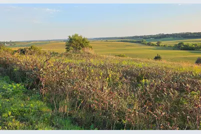 Tbd County Road 110 SE, Chatfield, MN 55923 - Photo 21