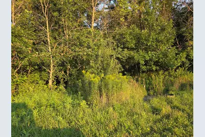 Tbd County Road 110 SE, Chatfield, MN 55923 - Photo 27