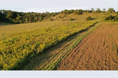 Tbd County Road 110 SE, Chatfield, MN 55923 - Photo 49
