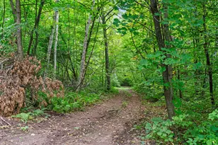 2011 State Road 87, Saint Croix Falls, WI 54024 - Photo 17