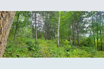 Tbd Cedar Road, Cushing, MN 56443 - Photo 5