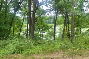 Tbd Cedar Rd, Cushing, MN 56443 - Photo 1