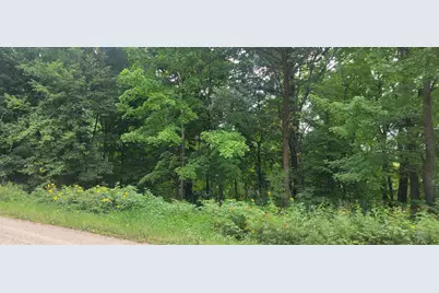 Tbd Cedar Road, Cushing, MN 56443 - Photo 7