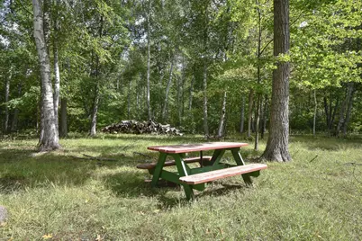 42937 Minnie Lake Drive, Emily, MN 56447 - Photo 45