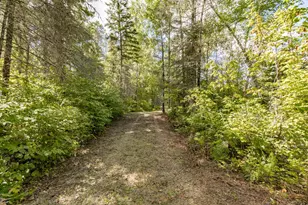 10401 Gunsten Lake Dr, Isabella, MN 55607 - Photo 57