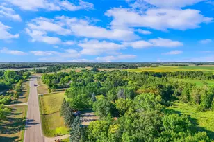 33733 Co Hwy 35, Dent, MN 56528 - Photo 5