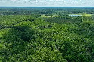 Tbd Sago 5, Swan River, MN 55784 - Photo 1