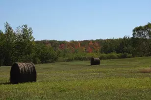 68144 Beaver Tail Rd, Askov, MN 55704 - Photo 5