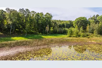 Tbd Forest Pines Drive, Nevis, MN 56470 - Photo 19