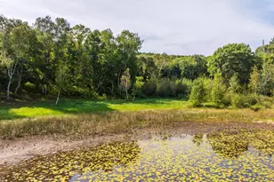 Tbd Forest Pines Dr, Nevis, MN 56470 - Photo 19