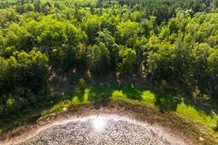 Tbd Forest Pines Dr, Nevis, MN 56470 - Photo 17
