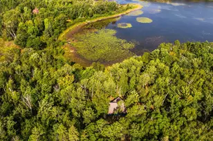 Tbd Forest Pines Dr, Nevis, MN 56470 - Photo 15