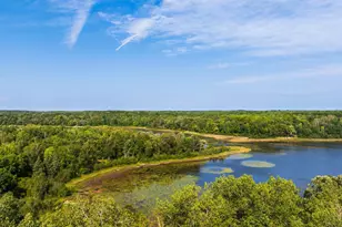 Tbd Forest Pines Dr, Nevis, MN 56470 - Photo 13