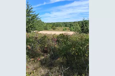 Tbd Overland Drive, Browerville, MN 56438 - Photo 3