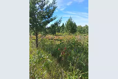 Tbd Overland Drive, Browerville, MN 56438 - Photo 1
