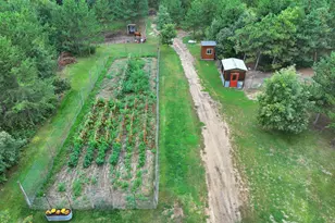 11208 State Hwy 87, Menahga, MN 56464 - Photo 9