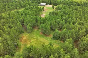 11208 State Hwy 87, Menahga, MN 56464 - Photo 45