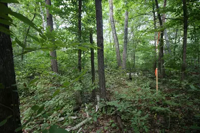 Lots 60, 61, 62 Sun Valley Pass, Breezy Point, MN 56472 - Photo 7