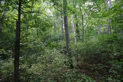 Lots 60, 61, 62 Sun Valley Pass, Breezy Point, MN 56472 - Photo 9