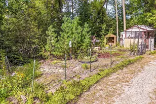 10591 Boot Lake Rd, Frazee, MN 56544 - Photo 21
