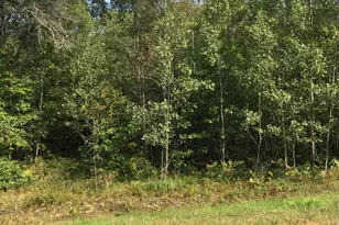 Lot 30 Shady Ln, Siren, WI 54872 - Photo 1