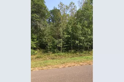 Lot 32 Shady Lane, Siren, WI 54872 - Photo 1