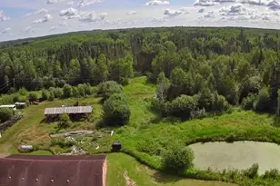 12503 Sethers Rd, Orr, MN 55771 - Photo 33