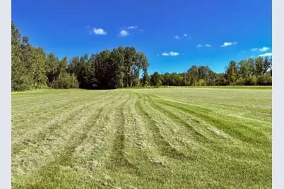 Tbd State Highway 11, Loman, MN 56654 - Photo 41