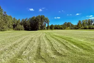 Tbd State Hwy 11, Loman, MN 56654 - Photo 41
