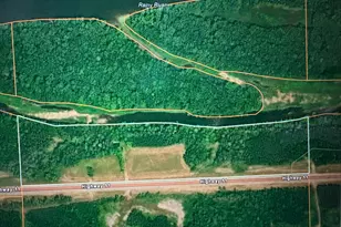 Tbd State Hwy 11, Loman, MN 56654 - Photo 63