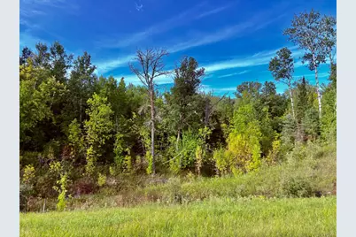 Tbd State Highway 11, Loman, MN 56654 - Photo 47