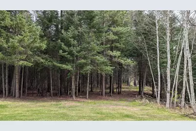 8854 River Road, Angora, MN 55703 - Photo 41