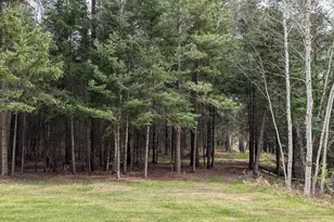 8854 River Rd, Angora, MN 55703 - Photo 41