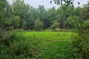 6234 Sandy Shores Dr NW, Williams, MN 56686 - Photo 13