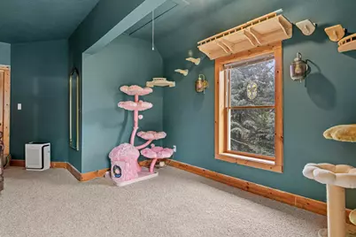 1104 Main Street W, Silver Lake, MN 55381 - Photo 13
