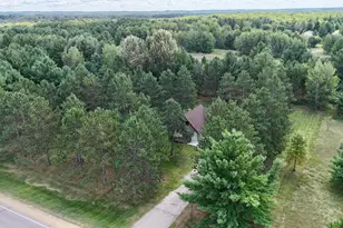 29691 County 26, Browerville, MN 56438 - Photo 43